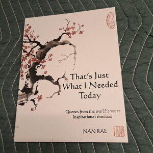 That's Just What I Needed Today -- Nan Rae